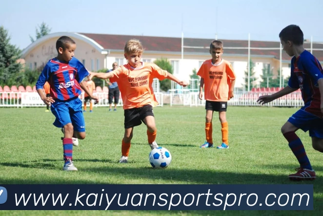 开元体育APP 高清赛事图